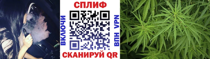 Бошки марихуана марихуана  где продают   Мценск 